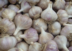 Perfect Garlic